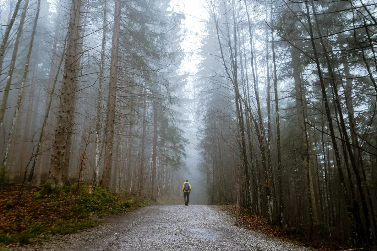 A person walking a quiet path, doing the personal healing work after betrayal